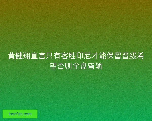 黄健翔直言只有客胜印尼才能保留晋级希望否则全盘皆输