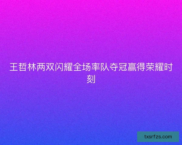 王哲林两双闪耀全场率队夺冠赢得荣耀时刻